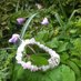 WildRose Gems (@wildrosegems) Twitter profile photo WildRose Gems (@wildrosegems) Twitter profile photo