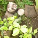 julio lazo vergara - @julius842 - Twitter