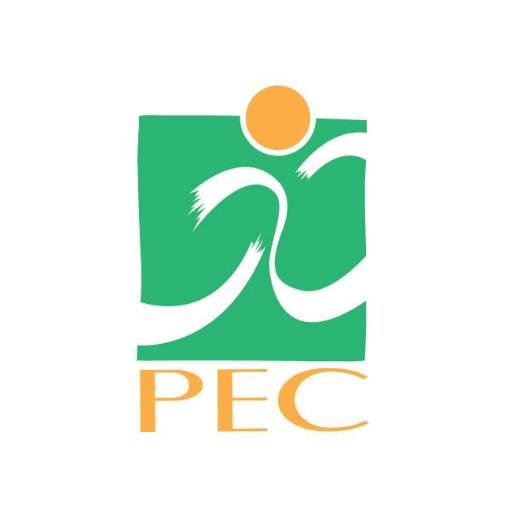 Le PEC est un centre d'éducation populaire qui aide des centaines de personnes à briser l'isolement en offrant des activités socio-éducatives pour tous âges.