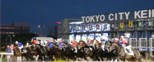 nanikuma's profile picture. 競馬とスポーツ観戦と読書が
好きな・・男性です。