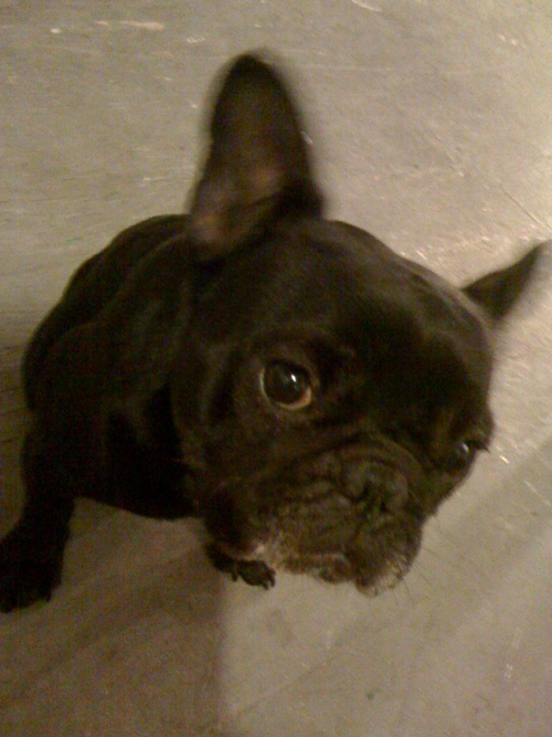 Don't kill me yet! I'm starting to come down with Stockholm Syndrome... handsome. -Bender