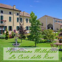 Agritur_Millefior (@agrmillefiori) 's Twitter Profile