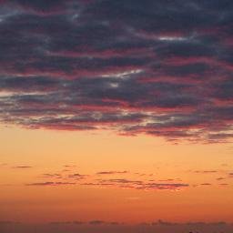 katia_abbad's profile picture. 