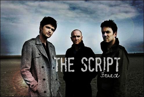 TheScriptFR's profile picture. 