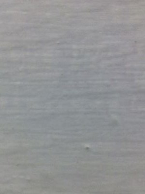 dmohapatra1960's profile picture. Spartan