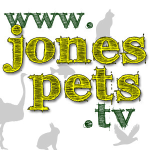 JonesPetsTV's profile picture. Social networking for all pet lovers. Come and see why we are an entertaining place for pets and people, too.