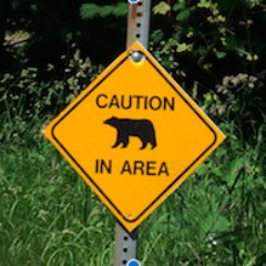 rockpapermama's profile picture. 