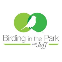 Birding with Jeff(@birdingwithjeff) 's Twitter Profile Photo