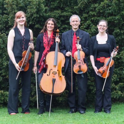 stringtheory_ex's profile picture. The String Theory is a quartet based in Exeter with half of the members being mathematicians! Music