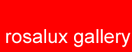 rosalux_gallery's profile picture. 