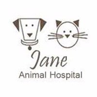 Jane Animal(@JaneAnimal) 's Twitter Profile Photo