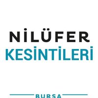 Nilüfer Kesintileri(@NiluferKesinti) 's Twitter Profile Photo