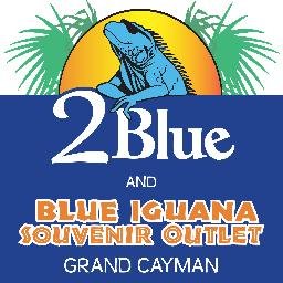 Blue Iguana Souvenir