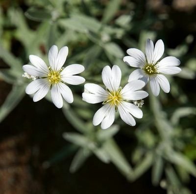 Ryanti57922175's profile picture. Nothing special about me #follow me .I'll follow back