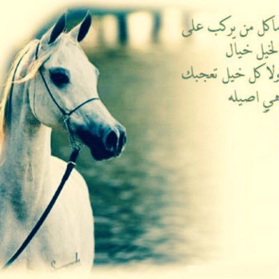 اللهم اغفر لمن احسن تربيتنا وغمرنا بعطفه وحنانه ❤️