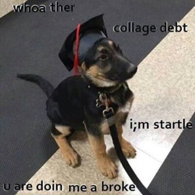 Mobula_521's profile picture. Class of Nope