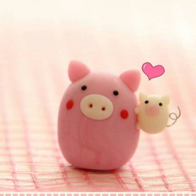 natsaya456's profile picture. ความบันเทิง