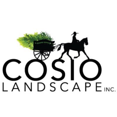 Cosio_Landscape's profile picture. Cosio Landscape, Inc. specializes in Landscape Construction & Design. Our goal is customer satisfaction. Call for a Free Estimate!760-290-9458