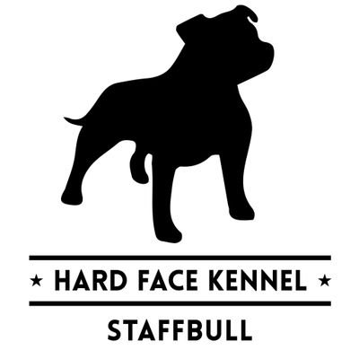 Canil HARD FACE KENNEL especializado na criação da raça Staffordshire Bull Terrier STAFFBULL