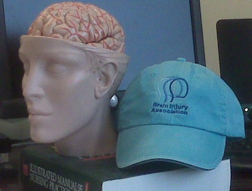 Brain Injury Association of Illinois is a statewide non-profit organization providing resources and services to individuals with acquired brain injuries.