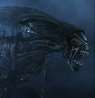 Xenom0rphQueen's profile picture. Must... Lay... More... Eggs...