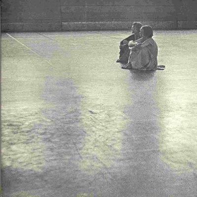 treeseamirror's profile picture. 