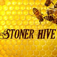 Stoner HiVe (@stonerhive) 's Twitter Profile