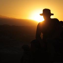 Rogowski_Radek's profile picture. 