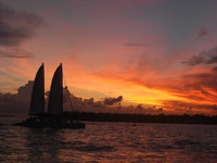 FloridiAnne's profile picture. Native Floridian. American. Human. Wife and Mom. Bostonian-in-law 🇺🇸 Retired computer nerd hanging out on an island 🏝 #wishyouwerehere #BlueWave2022 🌊