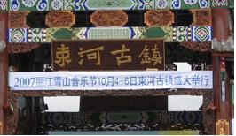 bugfinder303's profile picture. 