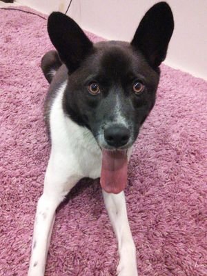 eisuke0360's profile picture. あなたが私をフォローすれば私のうれしいという思いが空に駆け昇り太陽よりも眩しくなりそして大粒の願いが雨となりそこに希望の花が咲き誇るだろう