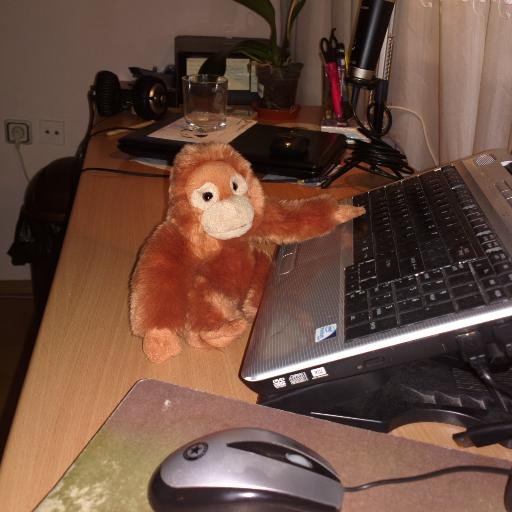 TOEFLlover's profile picture. TOEFL iBT exam and learning English