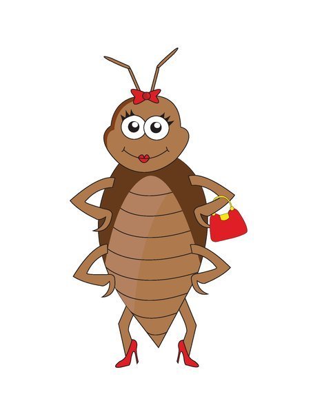 Have questions about bed bugs, I'm you gal. I have the entomologists from Bed Bug Central here to give you expert advice. ;)