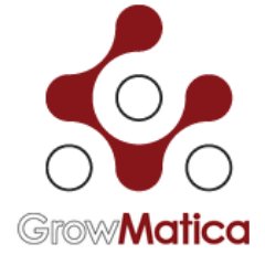 Grow helps IT and software companies to go and grow internationally. We develop the market-entry plan and execute it with our local sales team in 28 markets.