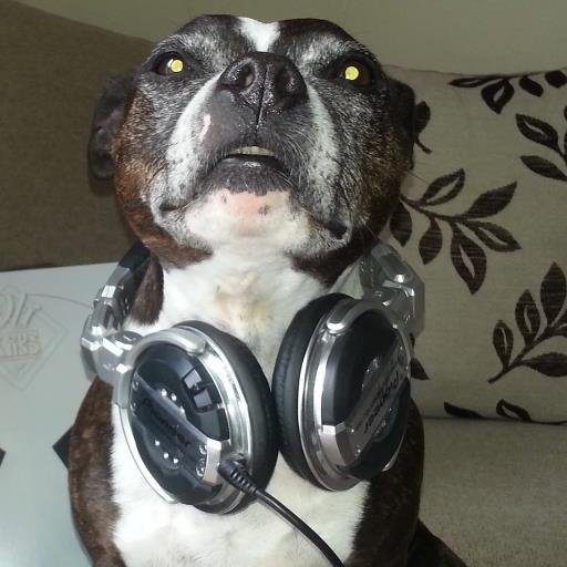 Drum & Bass DJ since 1999. Bandcamp supporter and vinyl collector.
https://t.co/v3vPaeMkHK