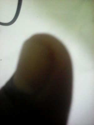 rizkysireng2's profile picture. 