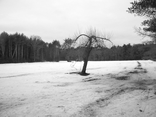 MacDad2006's profile picture. 