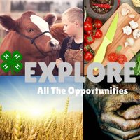 PurdueExtensionHC (@peohuntingtonco) 's Twitter Profile