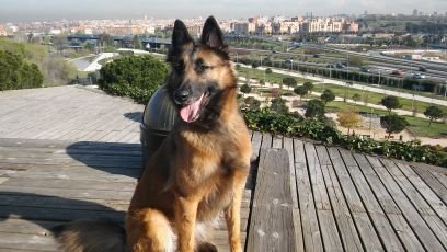 SImaneqt's profile picture. Nope