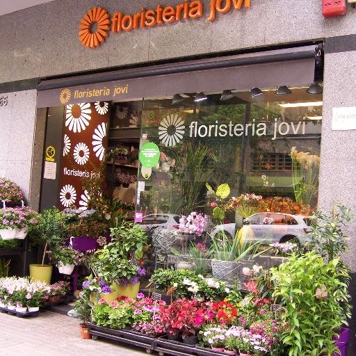 floristeriajovi Profile Picture