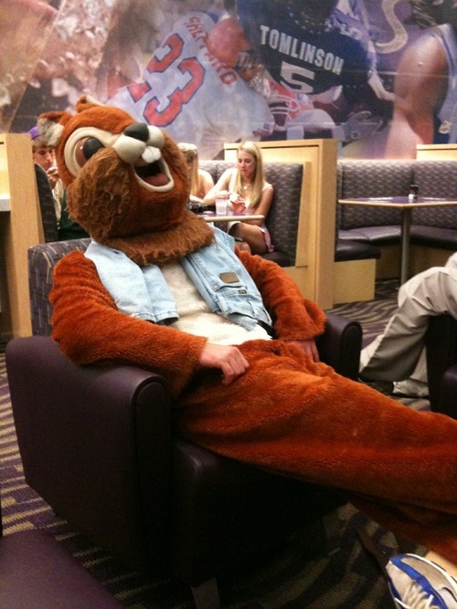 ToadsMagotes's profile picture. 