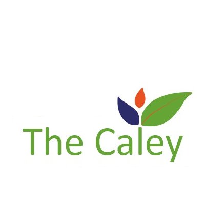 TheCaley Profile Picture