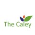 The Caley (@thecaley) Twitter profile photo The Caley (@thecaley) Twitter profile photo