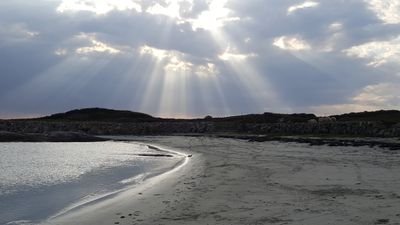 CassieNiCh's profile picture. 