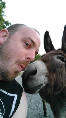 Friends with this donkey.