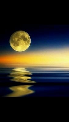 IshraqSam1235's profile picture. 