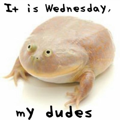 every Wednesday, it is Wednesday my dudes (not a bot) // ran by @stephenburner // backup @MyDudess_