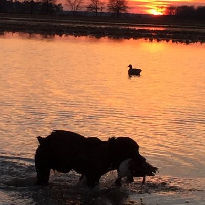 haden_11's profile picture. 