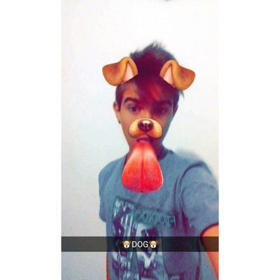 Dog_Ofc's profile picture. ~Segue~Ae~Que~Sigo~De~Volta~