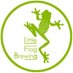 Little Frog Brewing (@littlefrogbrew) Twitter profile photo